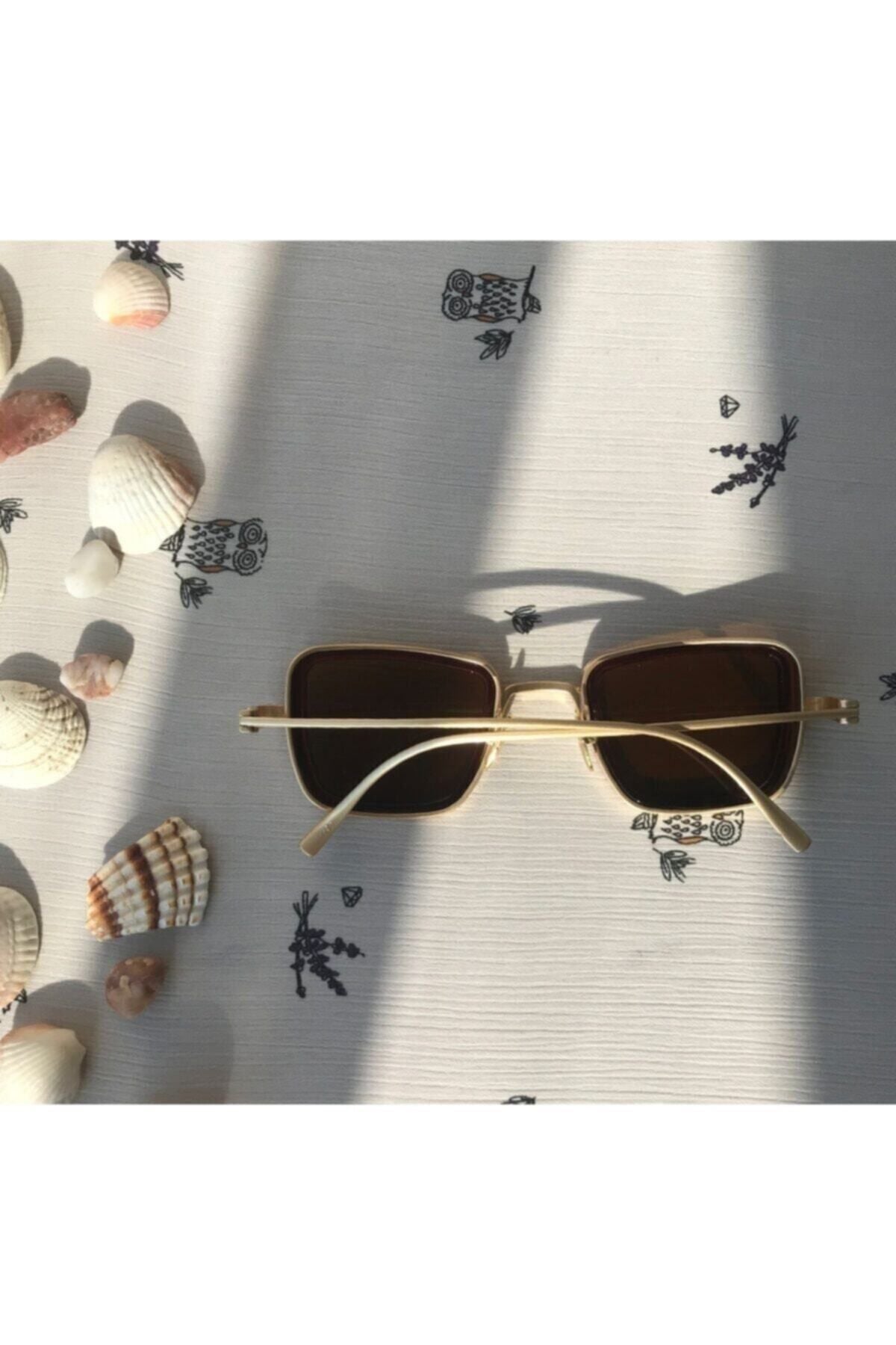 نظارة شمسية Atlas Accessory لون بني