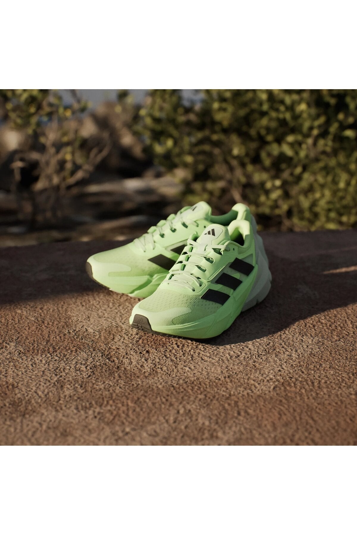 حذاء الجري adidas لون أخضر