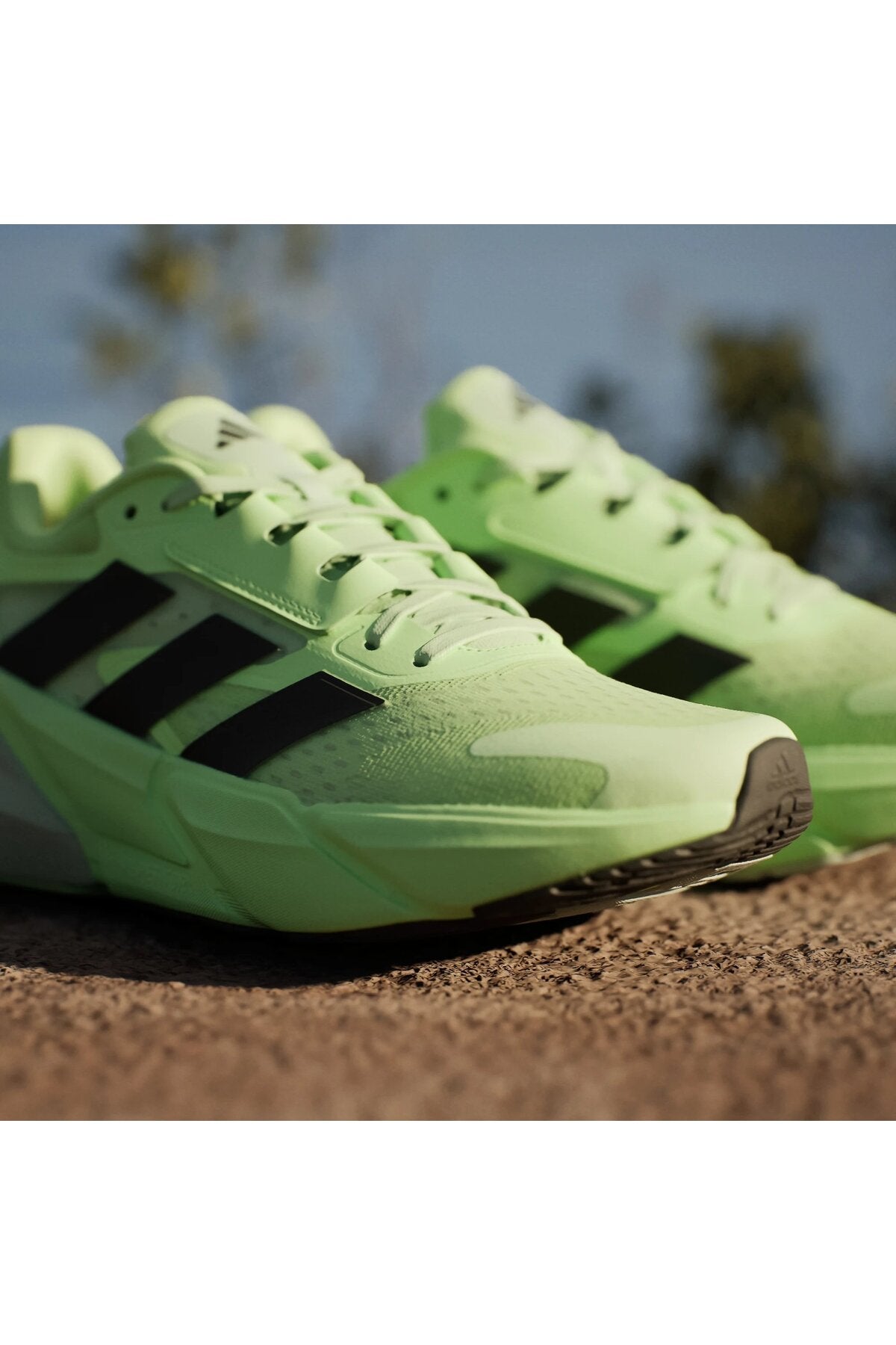 حذاء الجري adidas لون أخضر