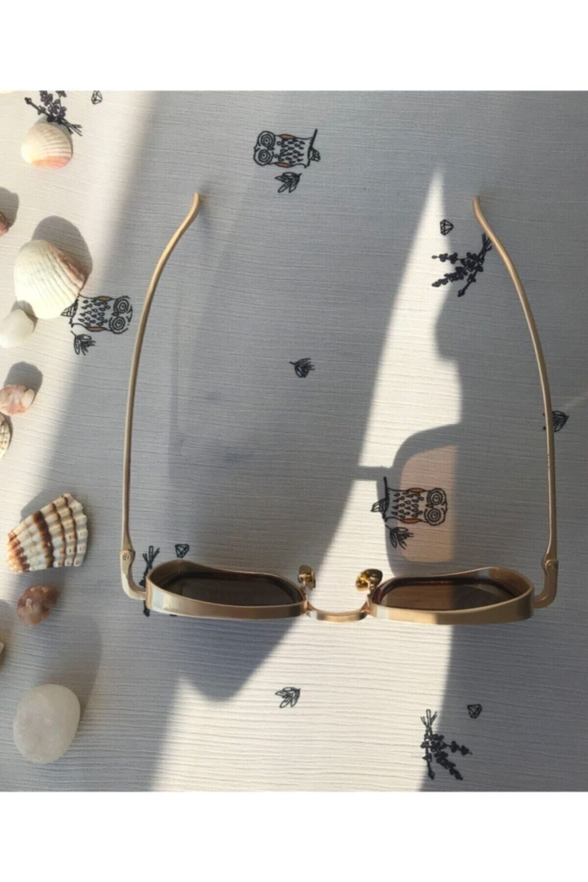 نظارة شمسية Atlas Accessory لون بني
