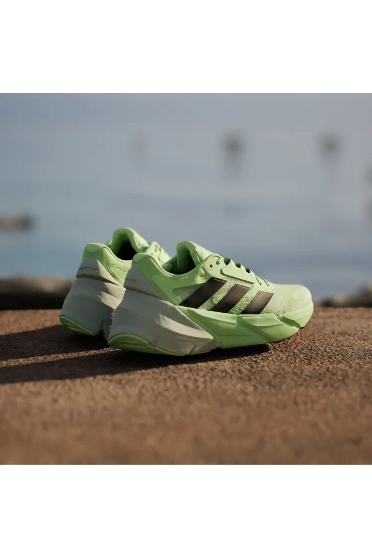 حذاء الجري adidas لون أخضر