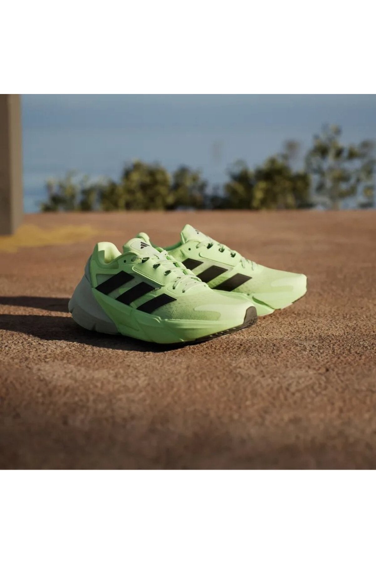 حذاء الجري adidas لون أخضر